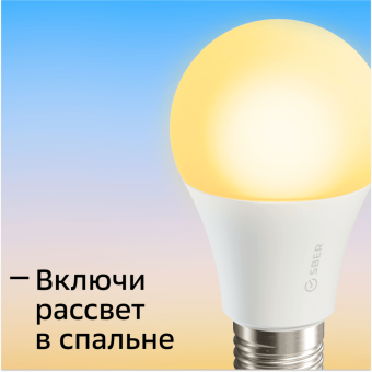 Умная лампа SBER E27/A60 (SBDV-00019) - Нижний Новгород